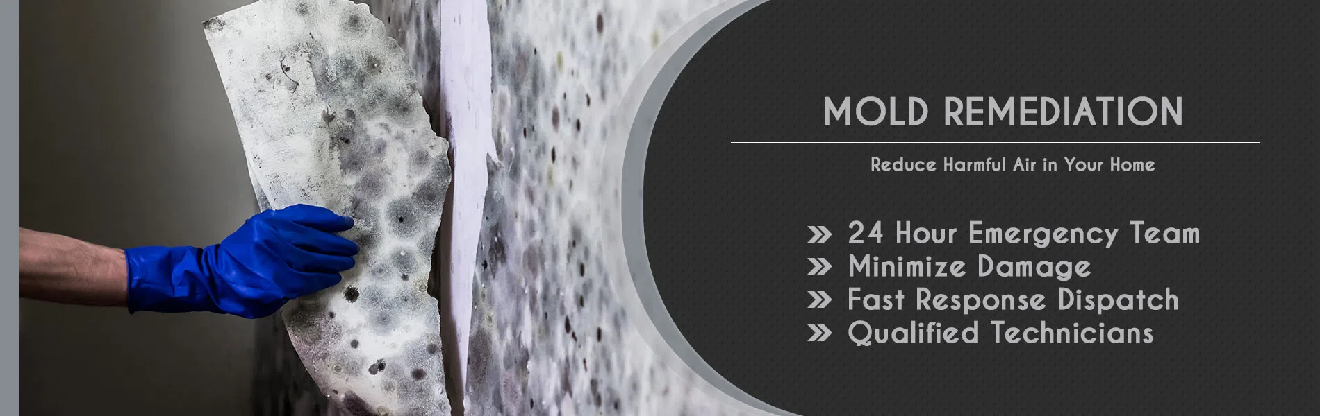 #bslide2 logo-image - banner-2-wgr-11