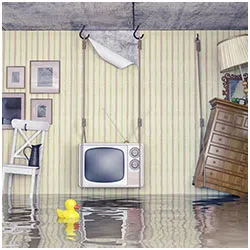 Hallandale Beach Emergency Restoration Hallandale Beach, FL 954-399-6342 - side-water-damage-wgr-11